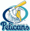 Pensacola_Pelicans.jpg