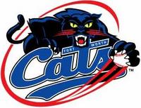 Fort Worth Cats.JPG